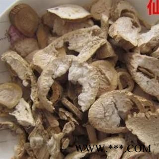 地骷髅 别明仙人骨、出子萝卜、老萝卜头、老人头、地枯萝、气萝卜、枯萝卜、空莱菔、老萝卜 华安堂图2