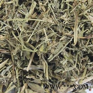 【录建药业】纯青色珍珠透骨草1000克 透骨草 产地直销 重在品质 过筛无杂质   规格齐全 批发零售抓方打粉图4