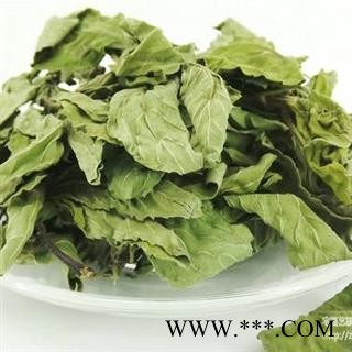 【录建药业】薄荷 薄荷茶 产地 安徽省亳州市亳州药市图2