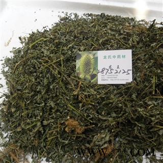 叶下珠 精品货 产地 四川省成都市双流县图3