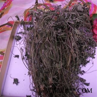 蛇含；五皮草 好货 产地 四川省成都市双流县图4