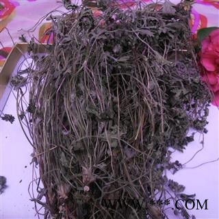 蛇含；五皮草 好货 产地 四川省成都市双流县图3