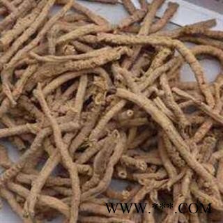 远志抽芯95%正品保证质量7天无理由退货退款 中药材批发 丽丽药业图4