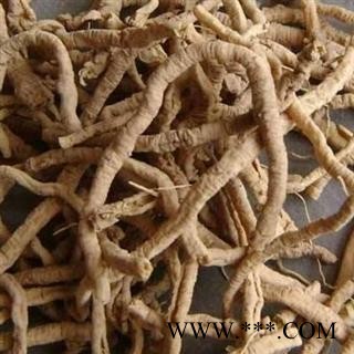 远志抽芯95%正品保证质量7天无理由退货退款 中药材批发 丽丽药业图3