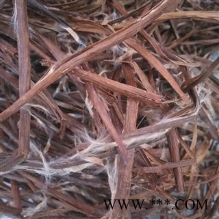 诺源药材行中药材梓白皮 梓实图3