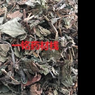 鱼腥草 统货 产地 山东省图2