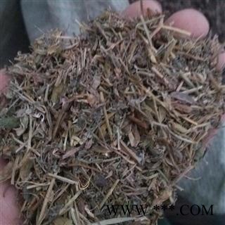 苦地丁 统 产地 河北省 国药堂 专注品质图2