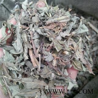 败酱草 北败酱 国药堂 专注品质 产地 山东省图2