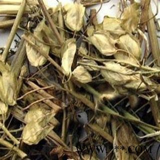 败浆草 南败酱草 统 产地 海南省 本店批发零售各种中药材图2