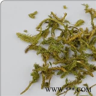 【录建药业】新货伸筋草1000克 颜色青 产地直销 重在品质 过筛无杂质   规格齐全 批发零售抓方打粉图4