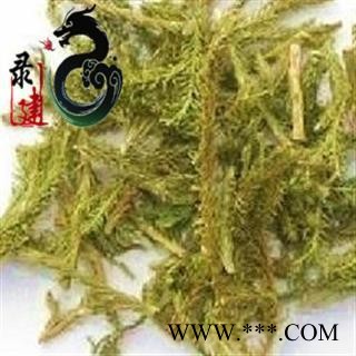 【录建药业】新货伸筋草1000克 颜色青 产地直销 重在品质 过筛无杂质   规格齐全 批发零售抓方打粉图3