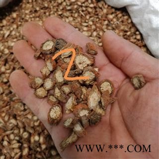 丹参 紫丹参选货 正品保证质量7天无理由退货退款 华安堂图3