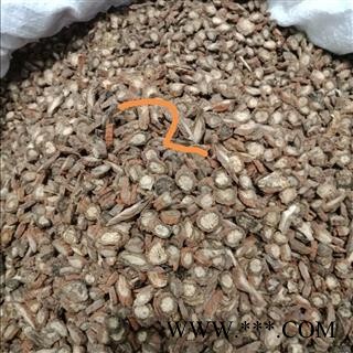 丹参 紫丹参选货 正品保证质量7天无理由退货退款 华安堂图4