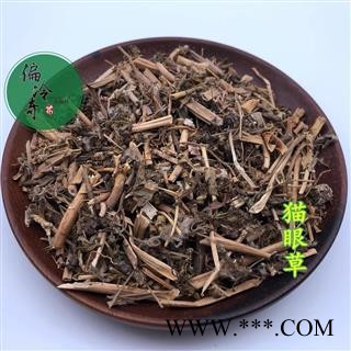 泽漆 乳浆大戟 细叶猫眼草 烂疤眼 统 产地 湖北省图3