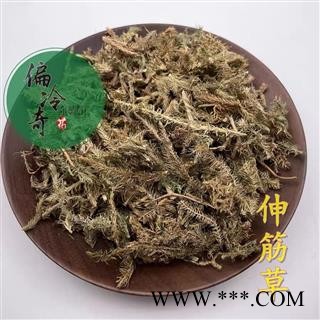 伸筋草 统货 产地 广西壮族自治区柳州市图3