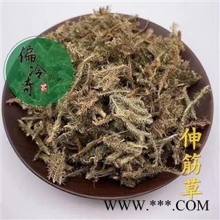 伸筋草 统货 产地 广西壮族自治区柳州市图2