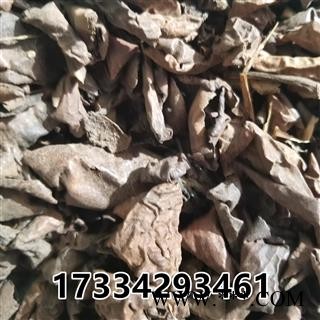 青龙衣 照片 别称-青核桃皮  新货图2