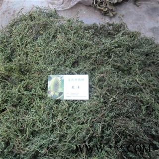 鹅不食草精品 统 产地 四川省成都市双流县图4