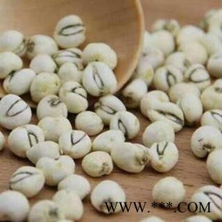 川贝母 正品保证质量7天无理由退货退款 中药材批发 丽丽药业图2