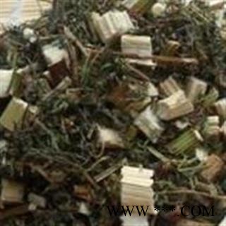 青蒿 统 产地 山东省图2