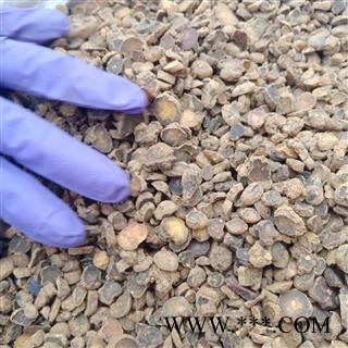 延胡索 净500克元胡正品保证实图拍照 中药材批发 丽丽药业图4