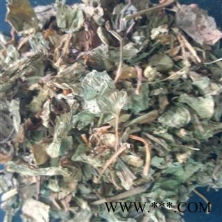 鱼腥草  统 产地  贵州省贵阳市 德誉堂药业批发各种中药材图3