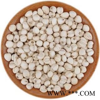 川贝母 正品川贝母质量保证无理由退货退款 中药材批发 丽丽药业图3