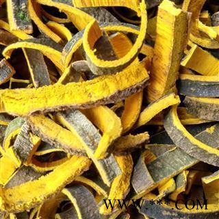 黄柏 选 产地 四川省德阳市图2