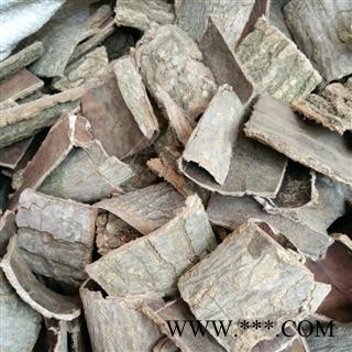 生杜仲 统 产地 四川省广元市旺苍县图2