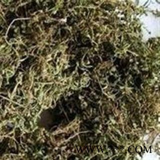 【录建药业】新货鹅不食草1000克  重在品质 过筛无杂质   规格齐全 批发零售抓方打粉图4