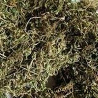 【录建药业】新货鹅不食草1000克  重在品质 过筛无杂质   规格齐全 批发零售抓方打粉图3