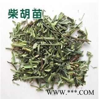 柴胡苗 正品保证质量7天无理由退货退款 华安堂图4