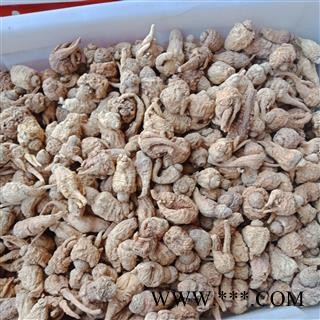 丽丽药业 黄玛卡 中药材批发 丽江黄玛卡黄玛卡个子正品保证实图拍照7天无理由退货退款图3