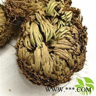 卷柏 卷柏团状统货 纯净无杂质 产地 云南省图2