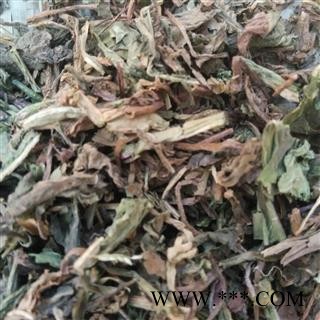 蒲公英 蒲公英绿色统货 产地 安徽省图3