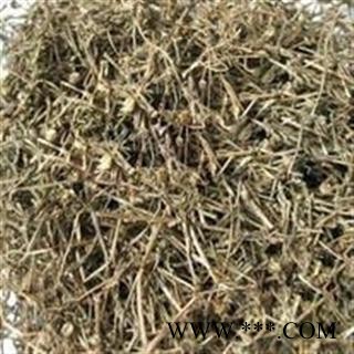 白花蛇舌草 白花蛇舌草家种选段   产地 河南省图2