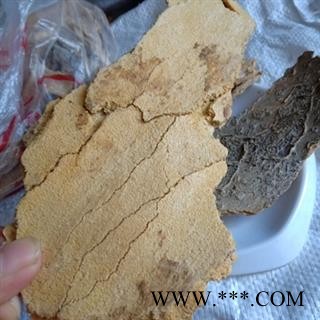 新辉药业中药材椿根皮 椿树皮 椿皮图2