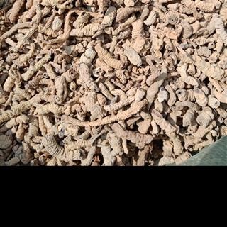 丽丽药业 巴戟天 中药材批发 统货正品保证实图拍照7天无理由退货退款图3