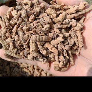 丽丽药业 巴戟天 中药材批发 统货正品保证实图拍照7天无理由退货退款图2