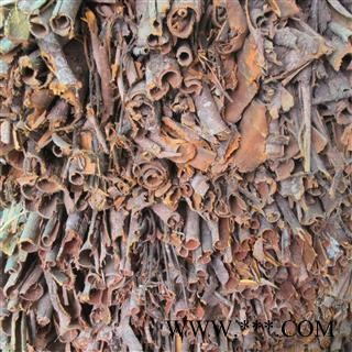 黄柏,黄檗,檗皮,川黄柏,檗木-----统货图3