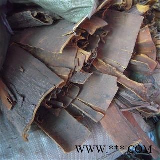 黄柏,黄檗,檗皮,川黄柏,檗木-----统货图4