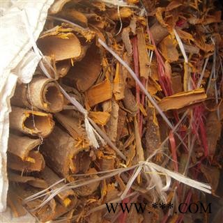 黄柏,黄檗,檗皮,川黄柏,檗木-----统货图2