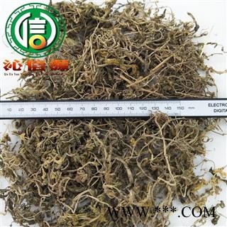 【满包邮】垂盆草统货散装石头菜产地直供狗牙草沁信源中药批发图2
