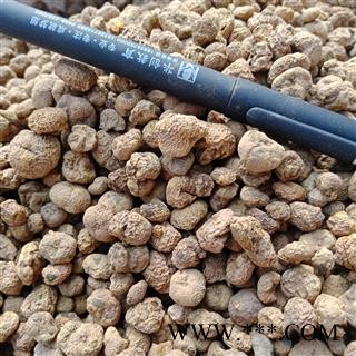 延胡索个正品保证实图拍照 中药材批发 丽丽药业图2