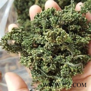 人参花 正品保证质量7天无理由退货退款 安品堂图4