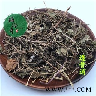 透骨草遍地香 透骨风 地蜈蚣 铜钱草 透骨消 统 产地 湖北省鄂州市图2