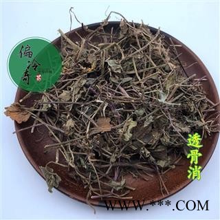 透骨草遍地香 透骨风 地蜈蚣 铜钱草 透骨消 统 产地 湖北省鄂州市图3