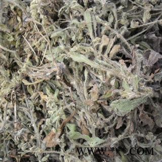 班种草、蓝布群 统 产地 四川省成都市双流县图2