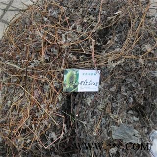 蛇倒退 统货 产地 四川省成都市双流县图3