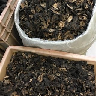 肉苁蓉 软大芸 统片 2021 产地 新疆维吾尔自治区克拉玛依市克拉玛依区图2